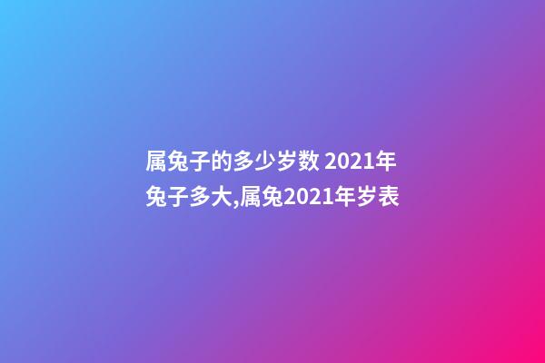 属兔子的多少岁数 2021年兔子多大,属兔2021年岁表-第1张-观点-玄机派